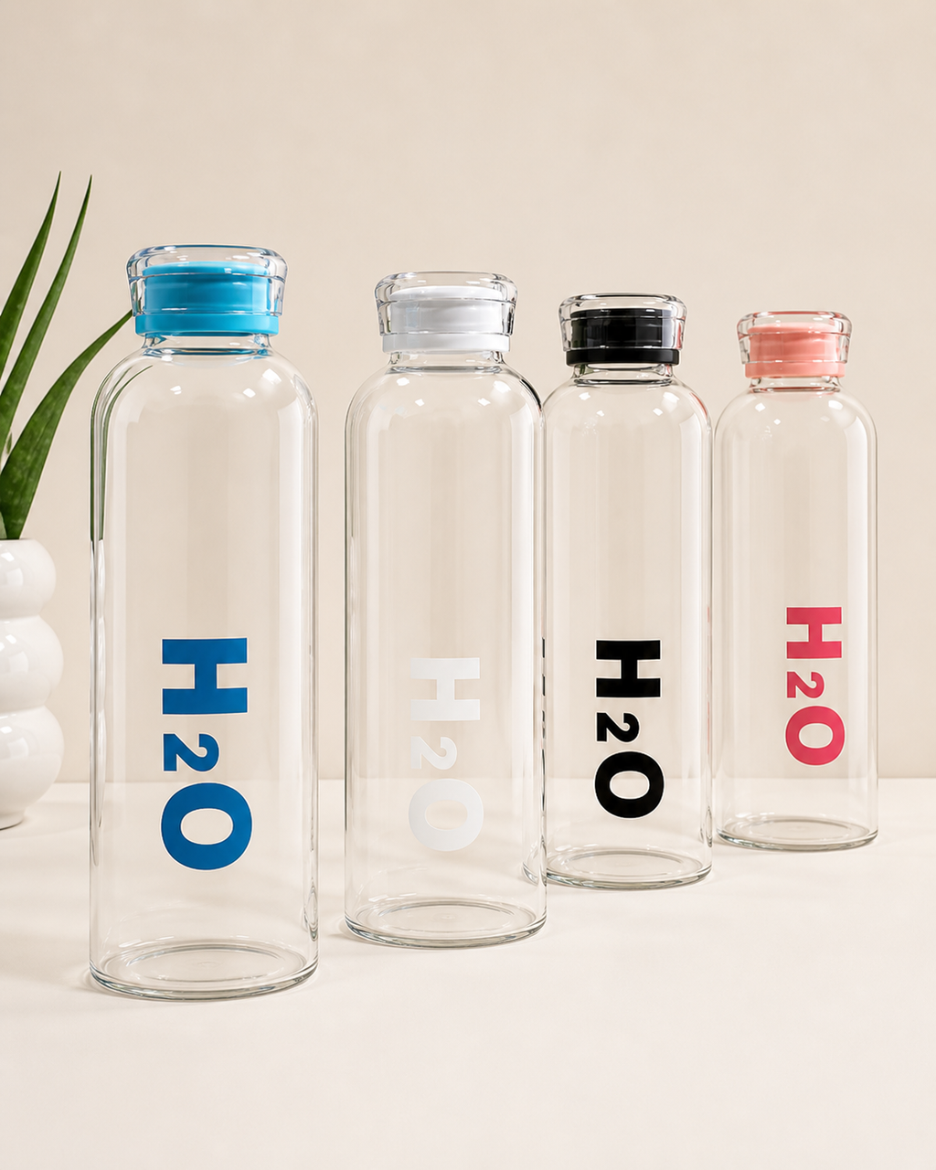 Borosilicate Glass Water Bottle with Plastic Lid