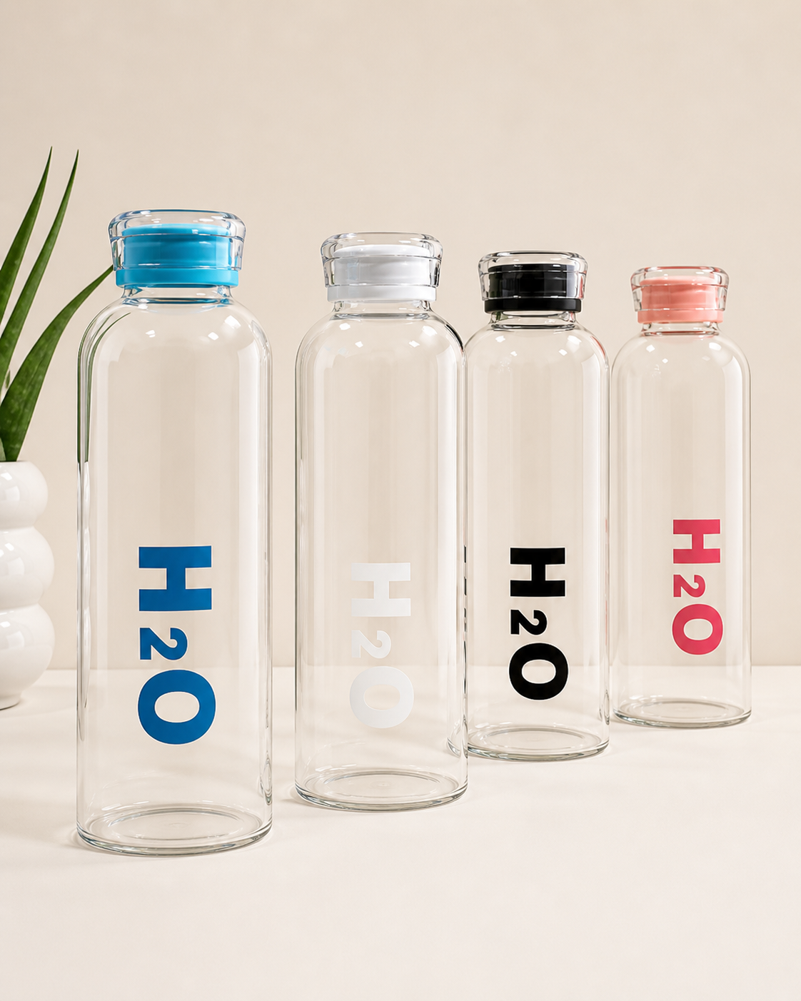 Borosilicate Glass Water Bottle with Plastic Lid